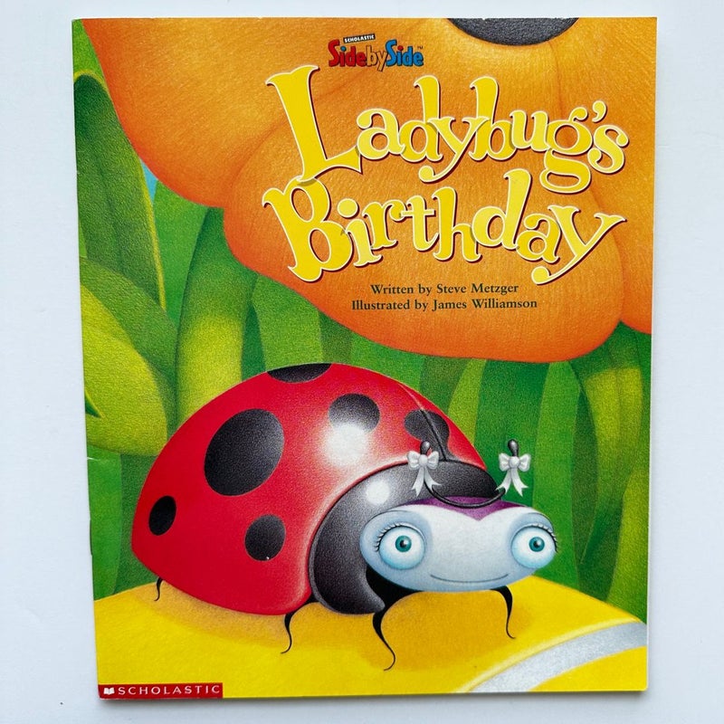 Ladybug’s Birthday