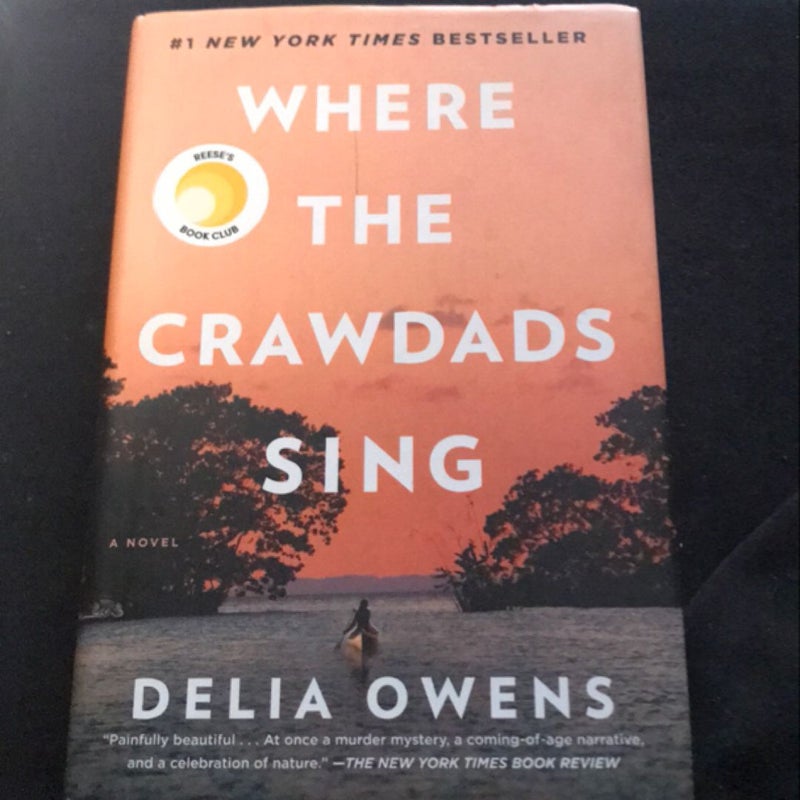 Where the Crawdads Sing