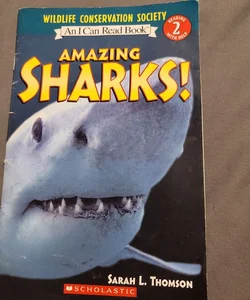 Amazing Sharks