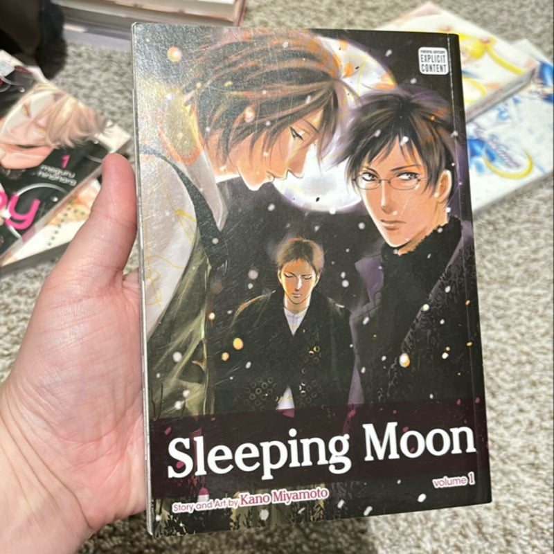 Sleeping Moon, Vol. 1