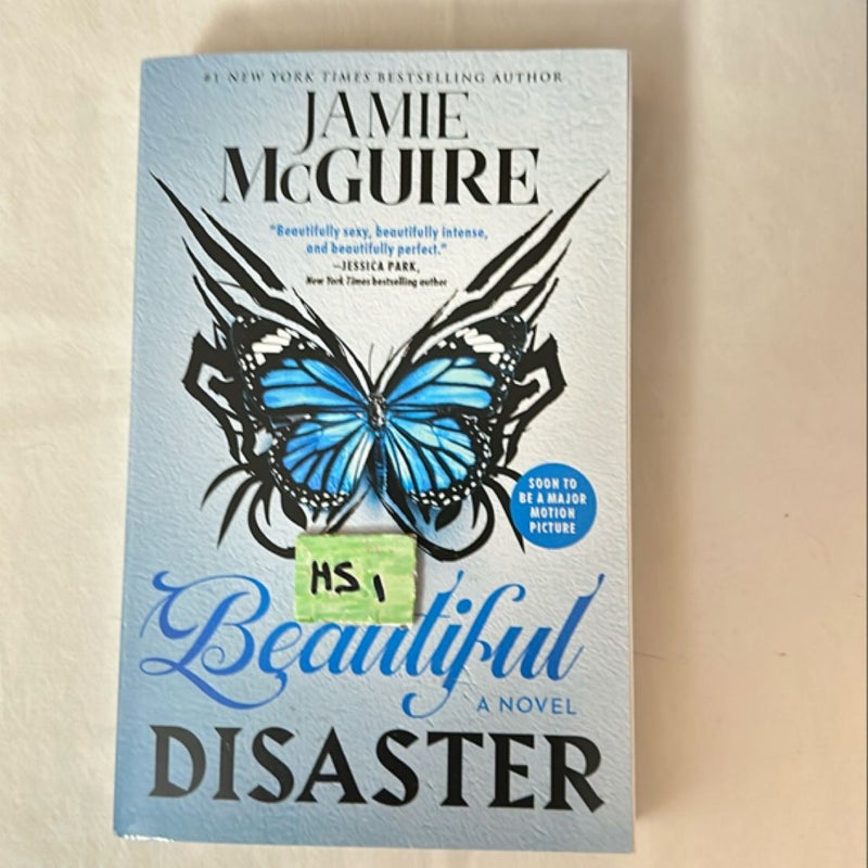 Beautiful Disaster