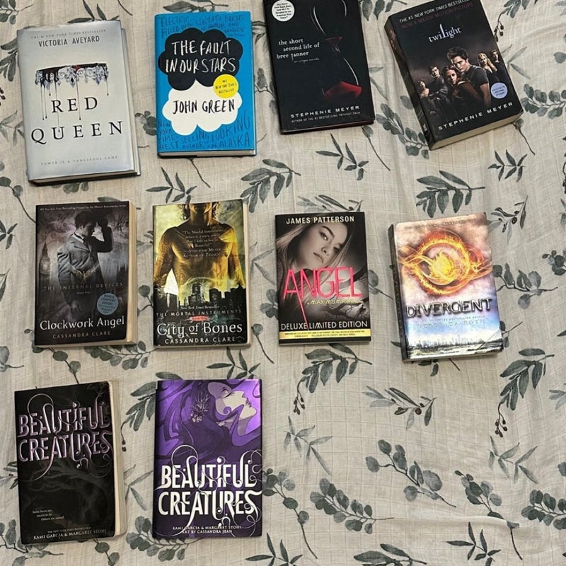 YA book bundle