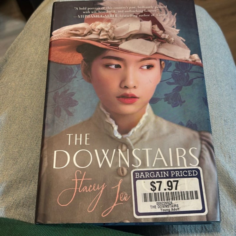 The Downstairs Girl