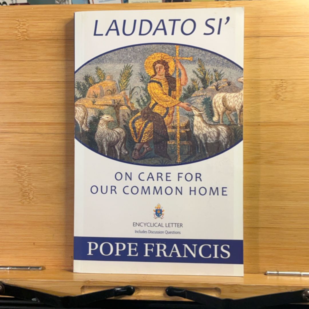 Encyclical on Climate Change and Inequality