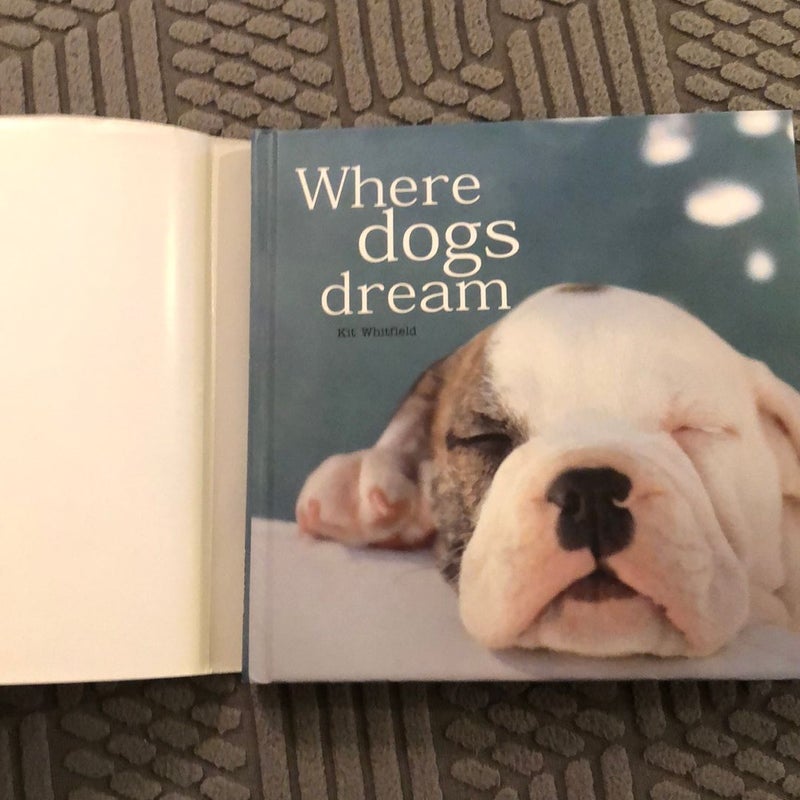 Where Dogs Dream