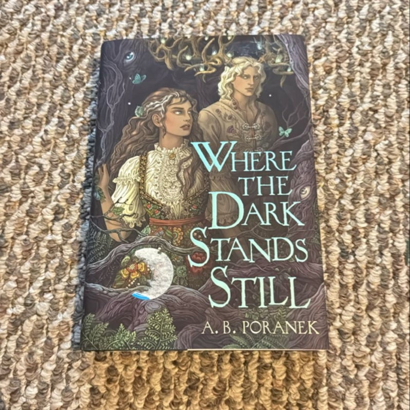 Where the Dark Stands Still