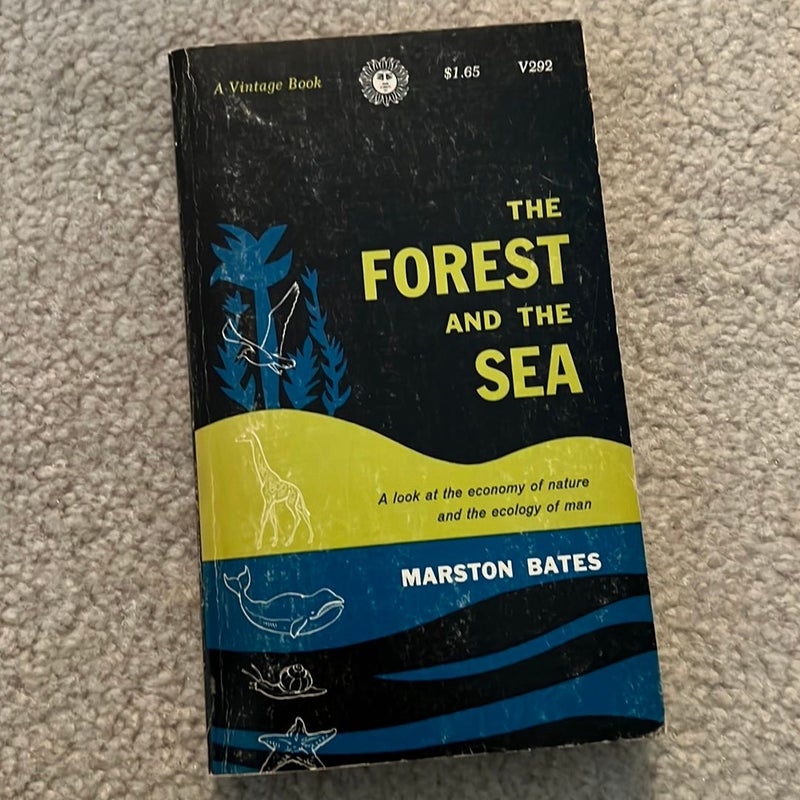 The Forest and the Sea