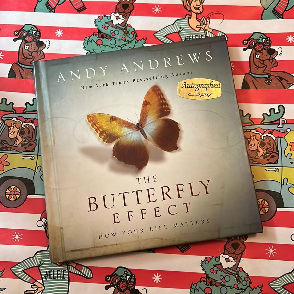 The Butterfly Effect by Andy Andrews