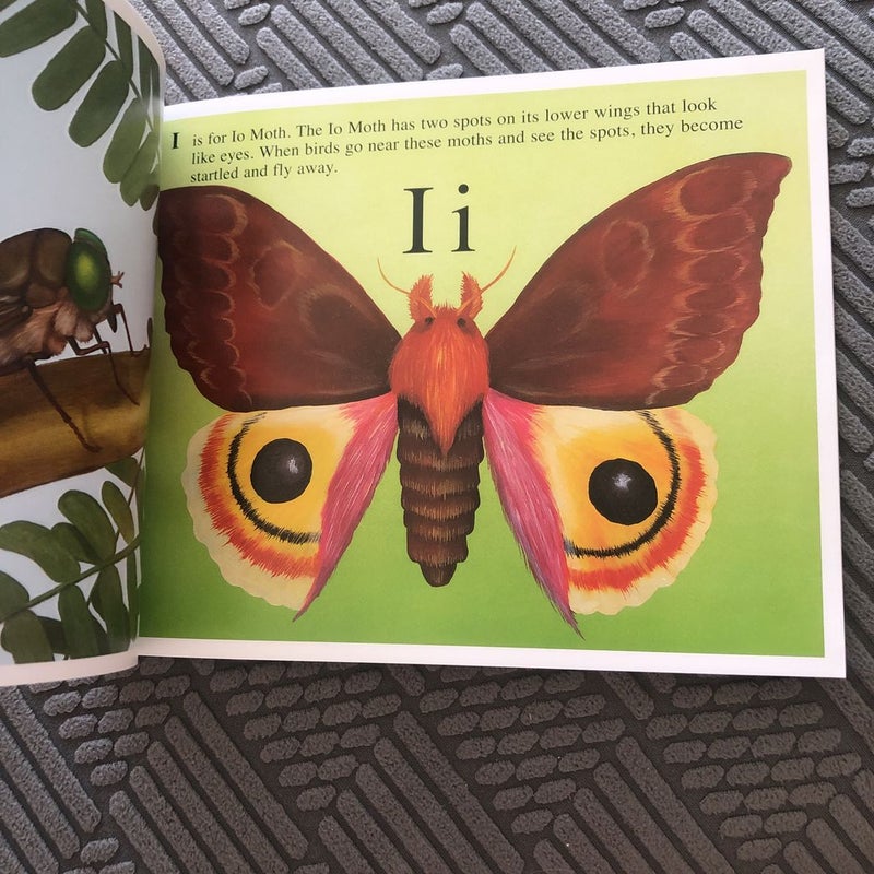 The Icky Bug Alphabet Book