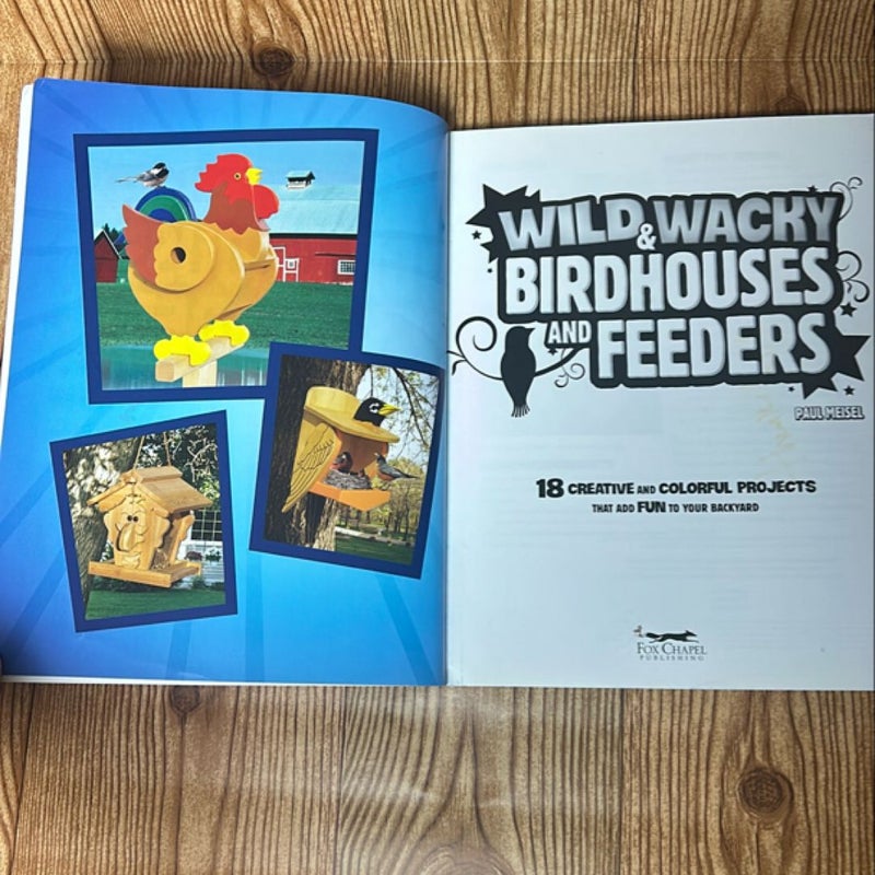 Wild and Wacky Birdhouses and Feeders