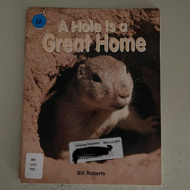 Avenues C (Leveled Books): a Hole Is a Great Home