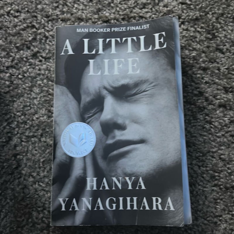 A Little Life