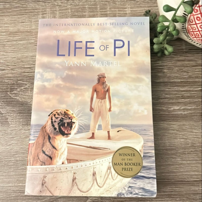 Life of Pi