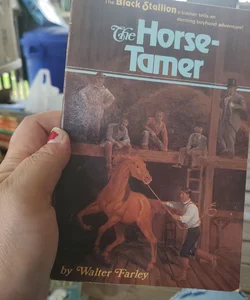 The horse tamer 