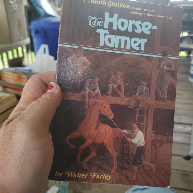 The horse tamer 