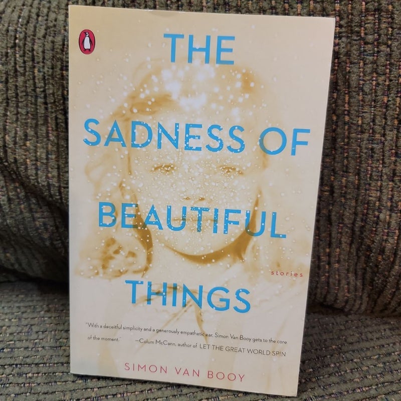 The Sadness of Beautiful Things