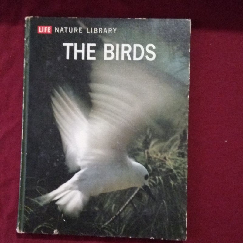 The Birds