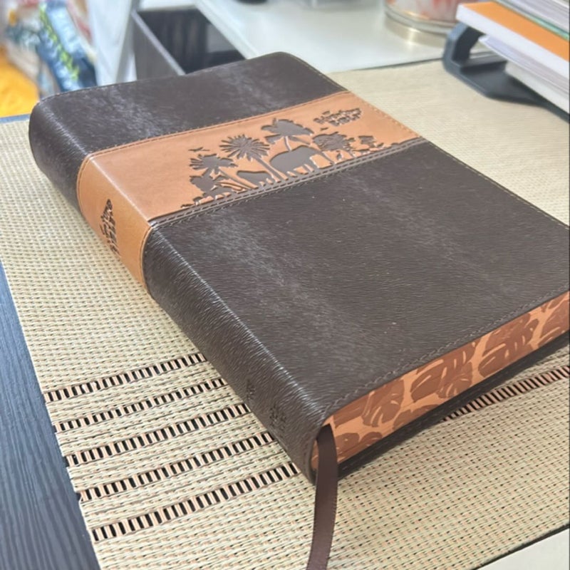 NIV Adventure Bible, Leathersoft, Brown, Full Color