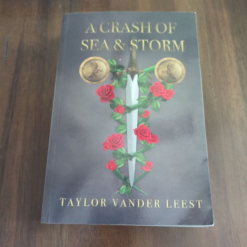 A Crash of Sea and Storm