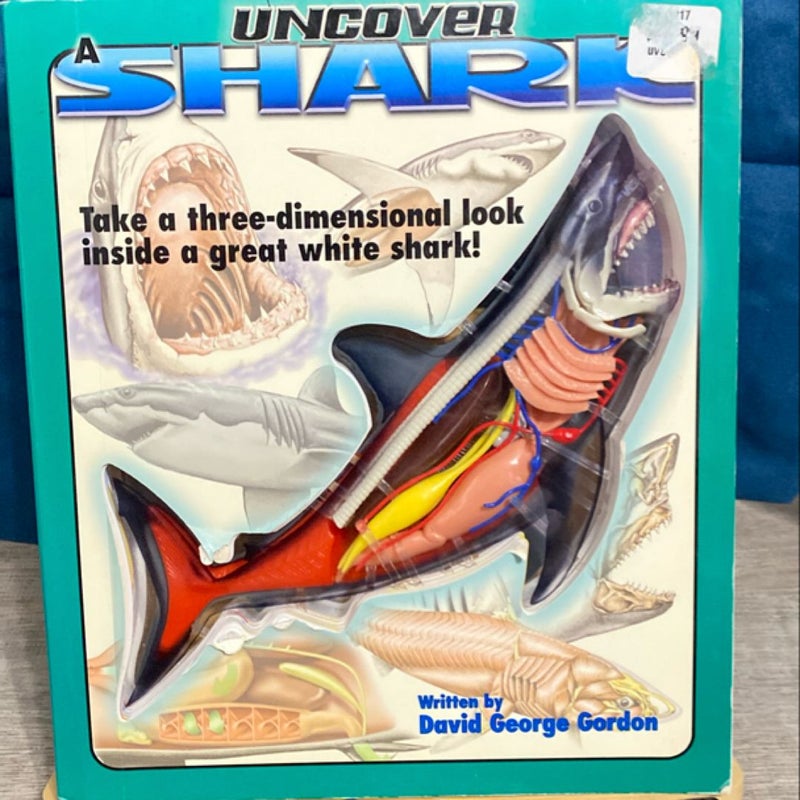 Uncover a Shark