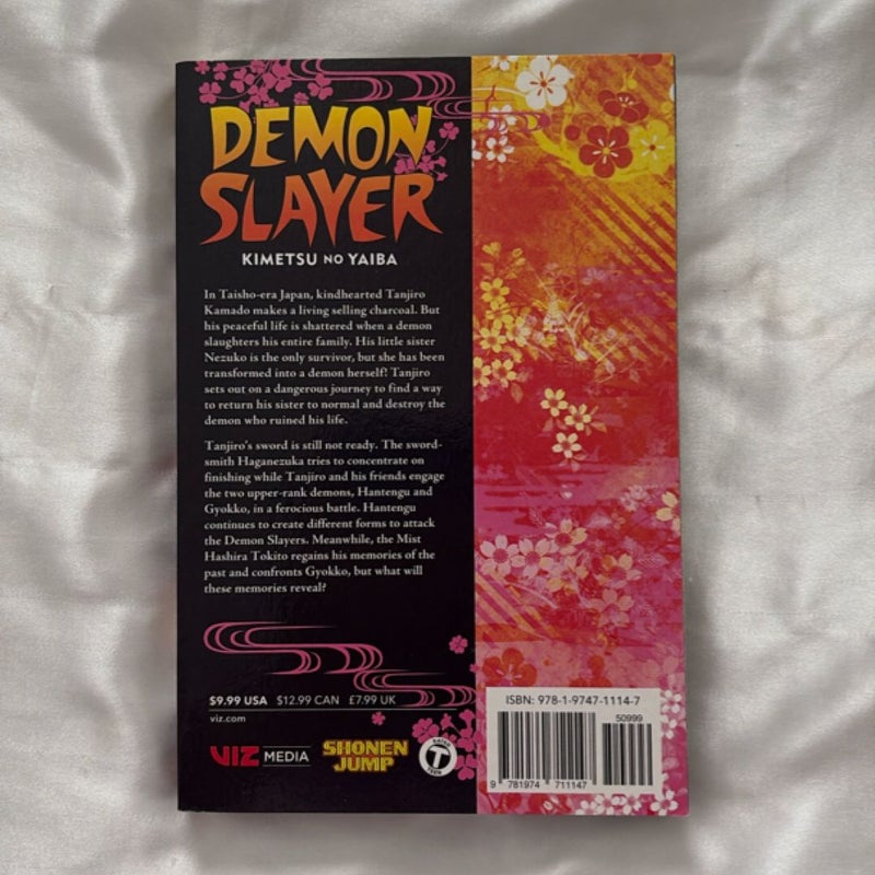 Demon Slayer: Kimetsu No Yaiba, Vol. 14