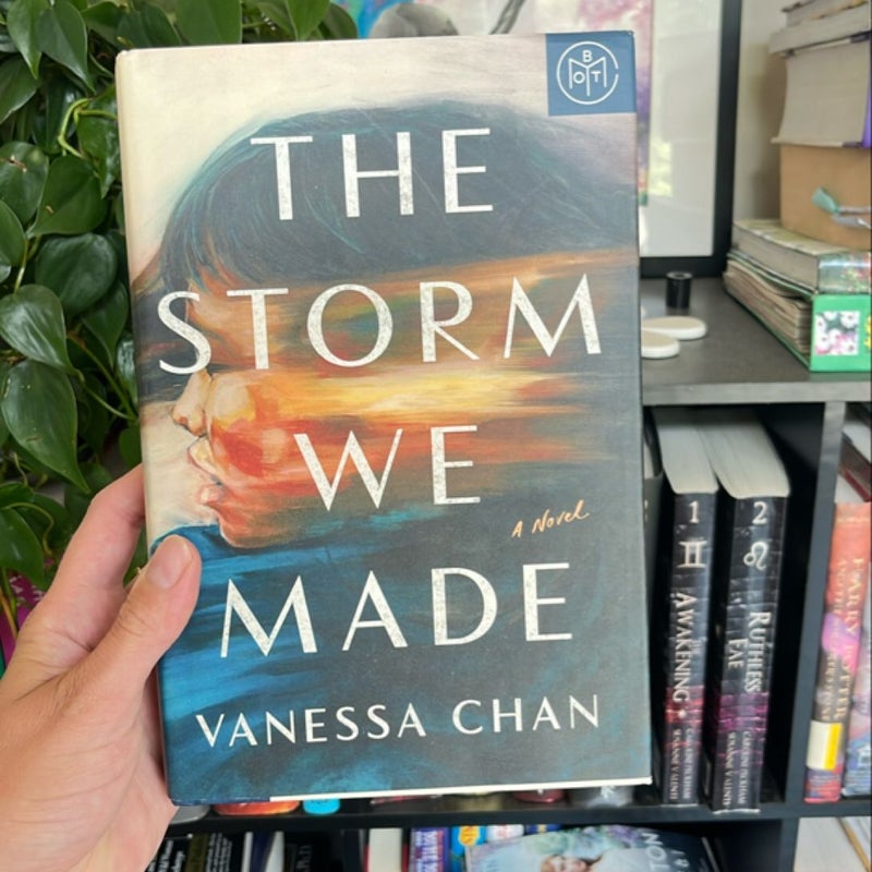 The Storm We Made
