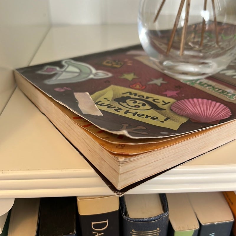 Marcy's Journal