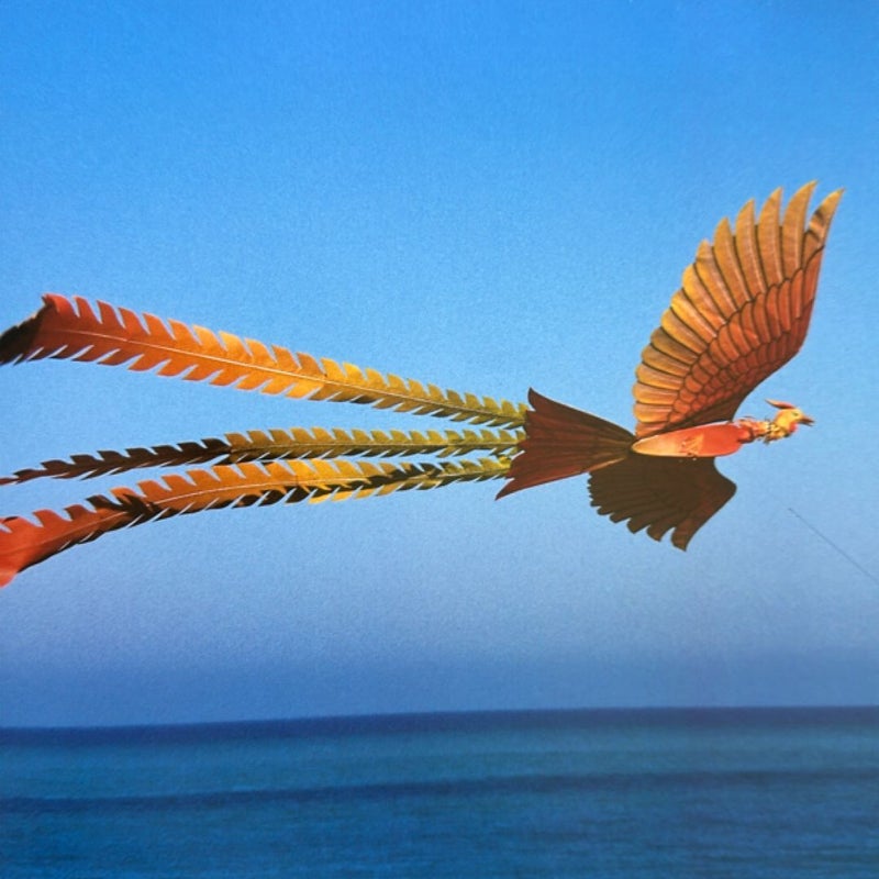 Into the Wind
