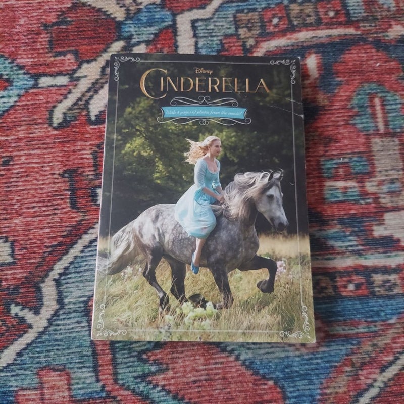 Cinderella Junior Novel