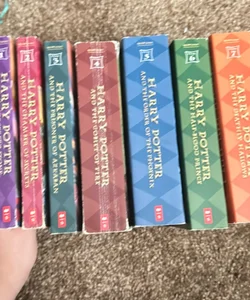 Harry Potter series 