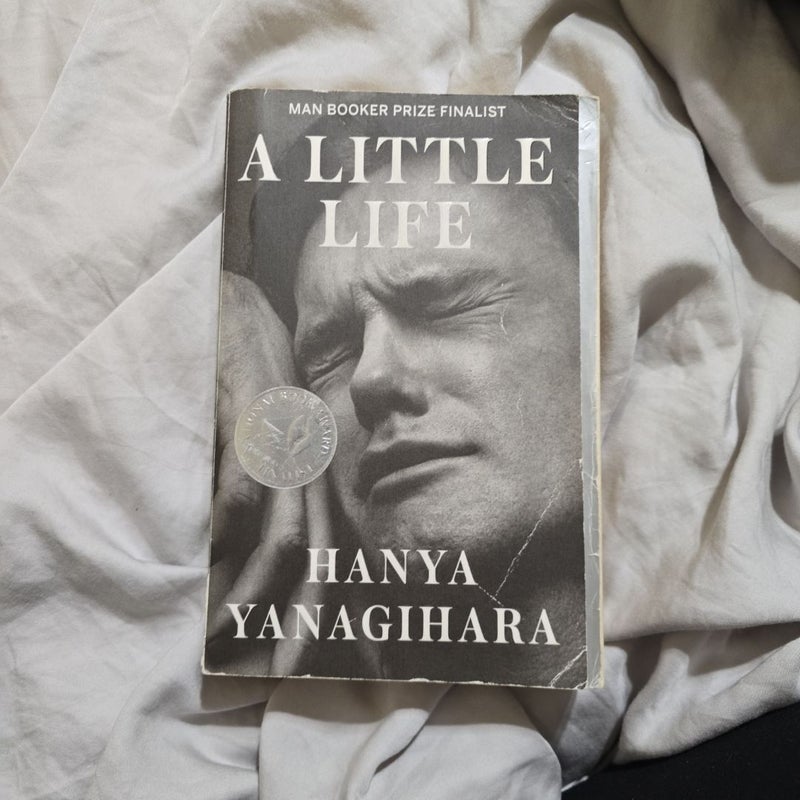 A Little Life