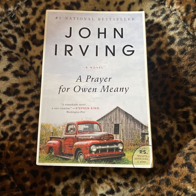A Prayer for Owen Meany