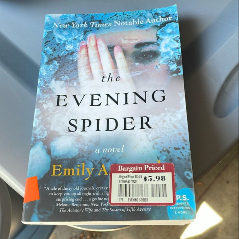 The Evening Spider