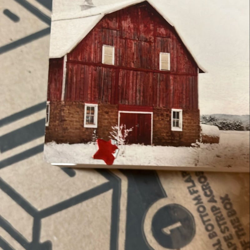 A Texas Christmas