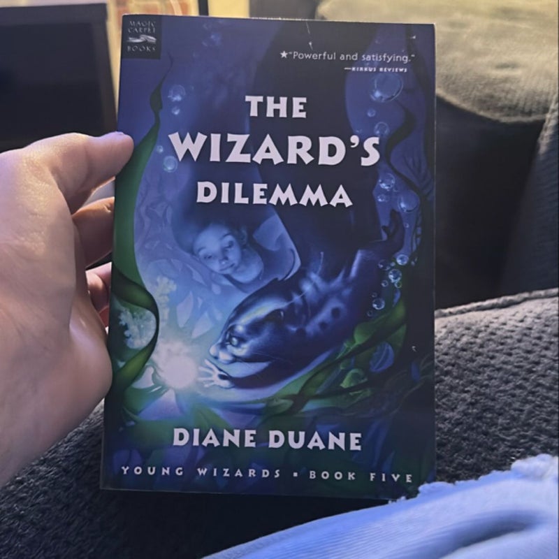 The Wizard's Dilemma