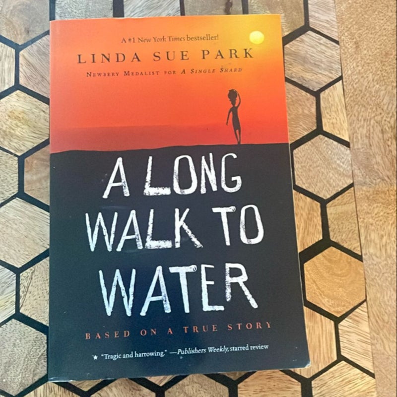 A Long Walk to Water