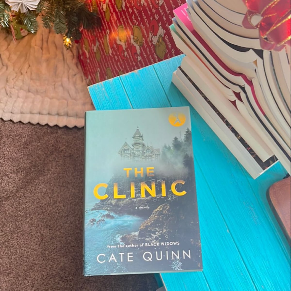 The Clinic by Cate Quinn