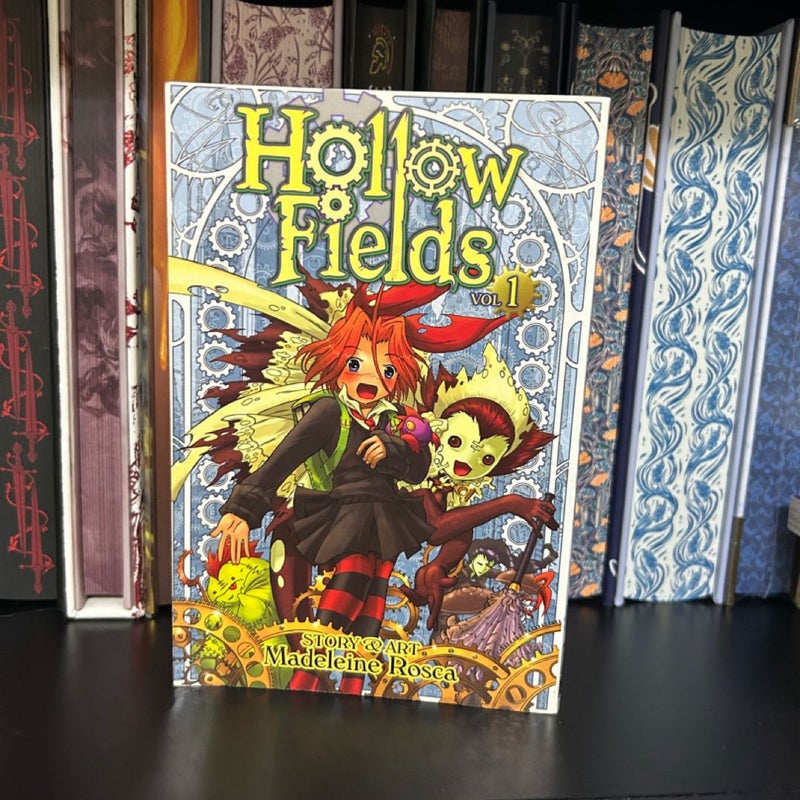 Hollow Fields