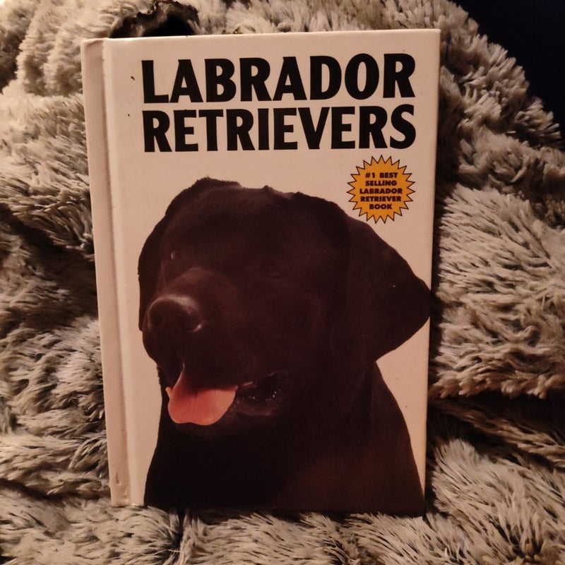 Labrador Retriever