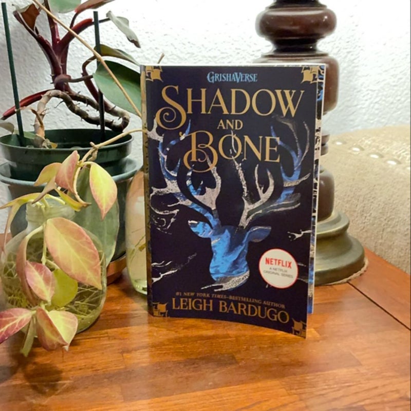 Shadow and Bone Trilogy: Shadow and Bone, Siege and Storm, Ruin and Rising