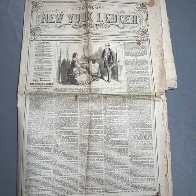 The New York Ledger 1876