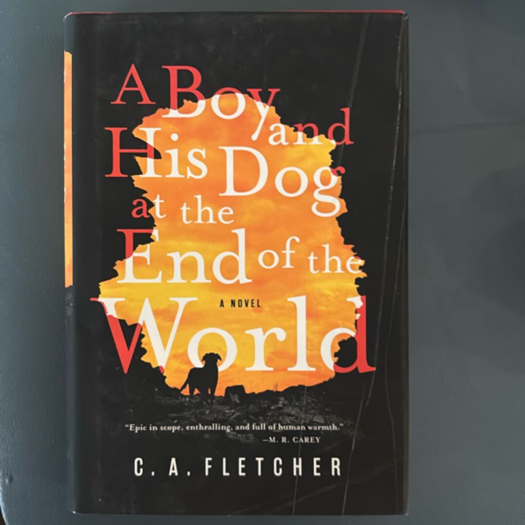 A Boy and His Dog at the End of the World