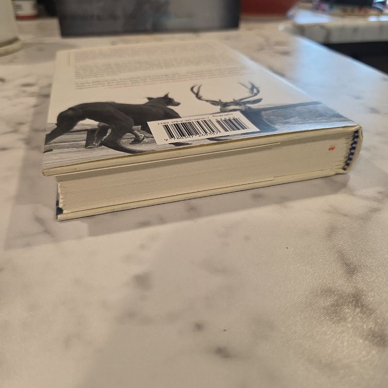 Stories I Tell Myself