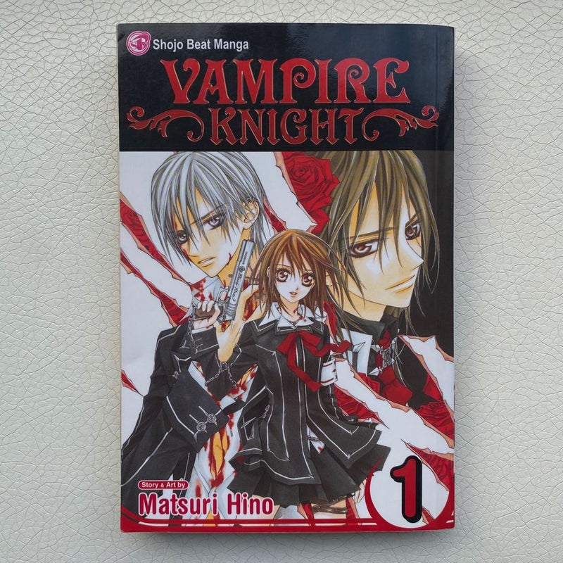 Vampire Knight, Vol. 1