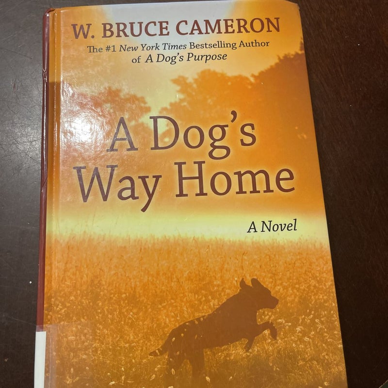 A Dog’s Way Home 