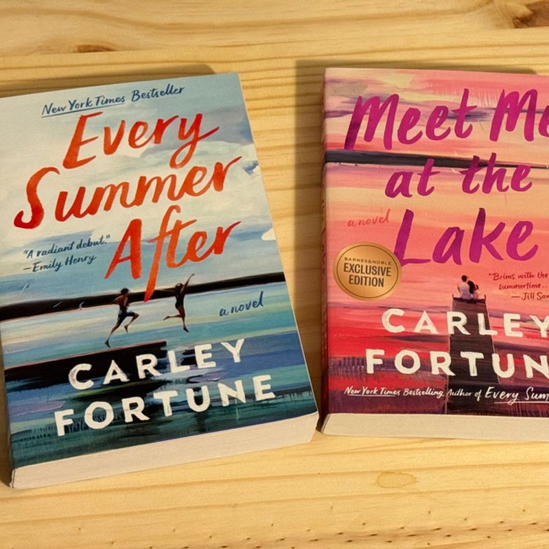 Meet Me at the Lake/Every Summer After bundle