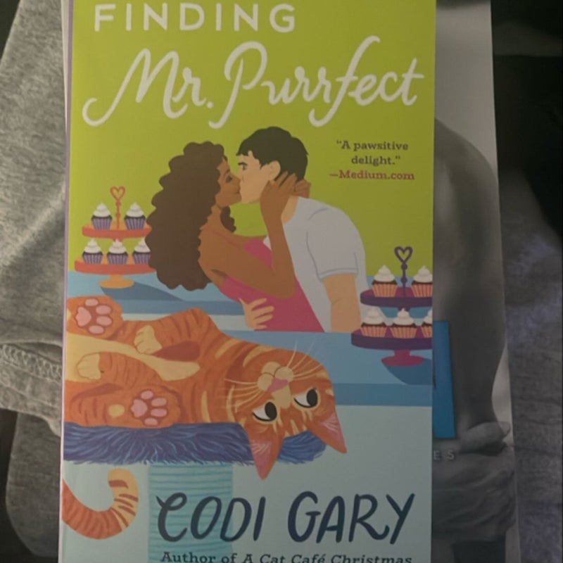 Finding Mr. Purrfect