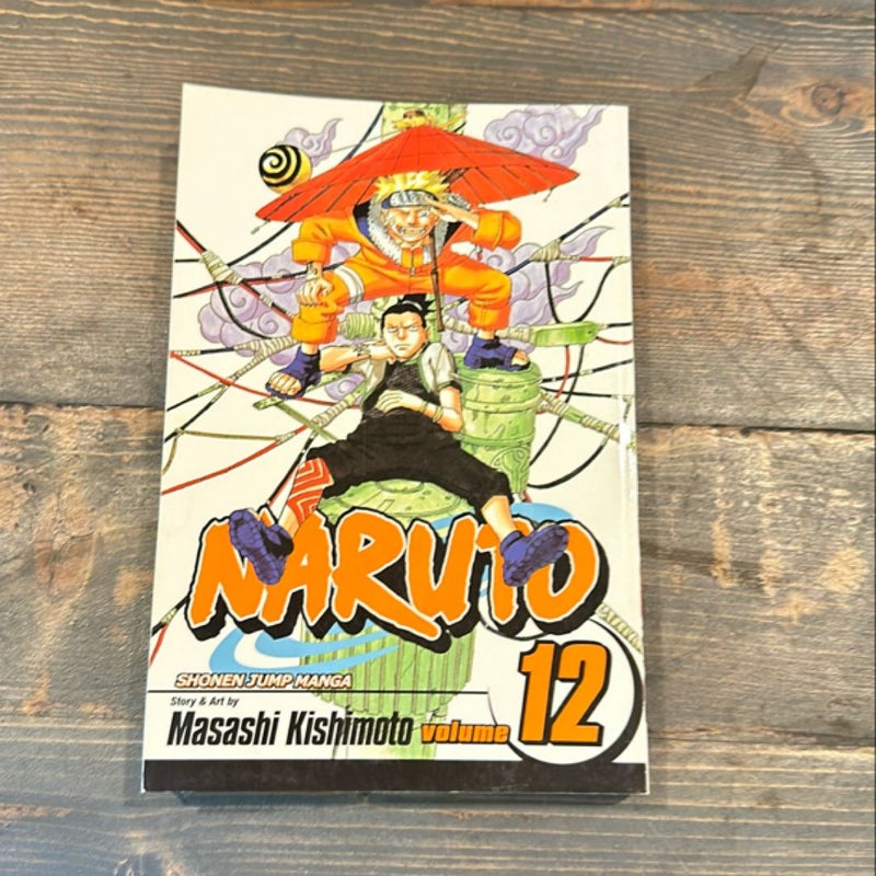 Naruto, Vol. 12