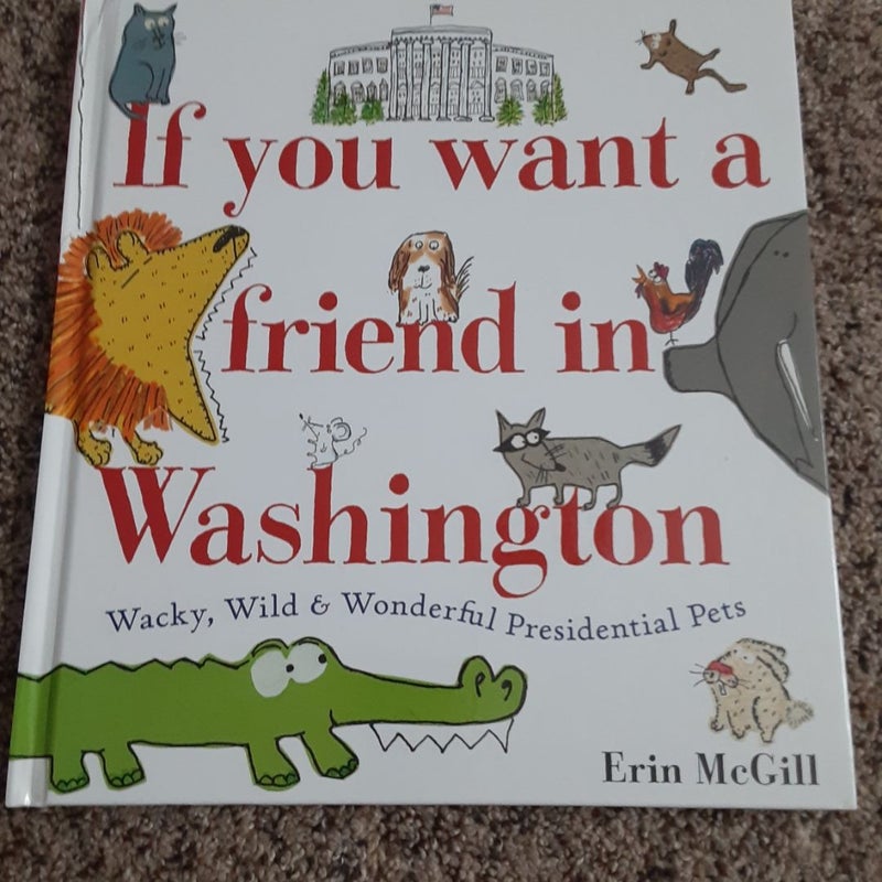 If You Want a Friend in Washington