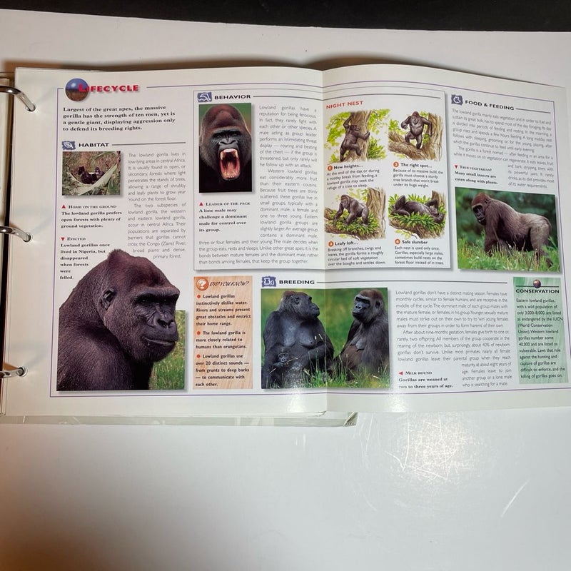 Wildlife Explorer Binder — Groups 1-8 with  100+ Cards & Tabs, Published 1998